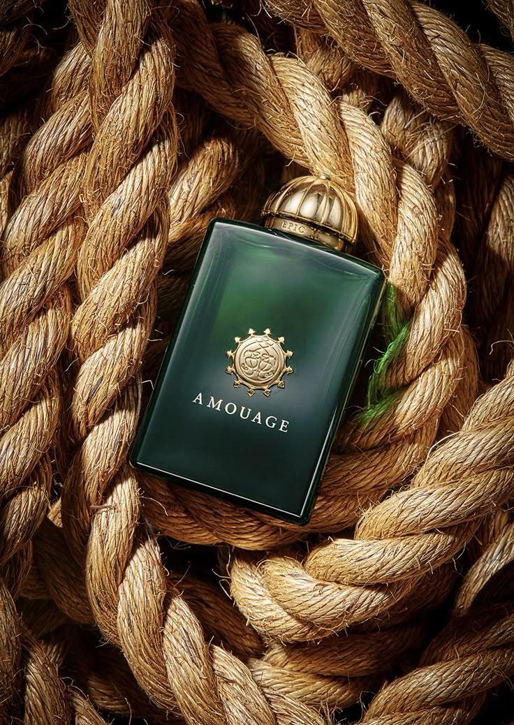 Discover a new favorite